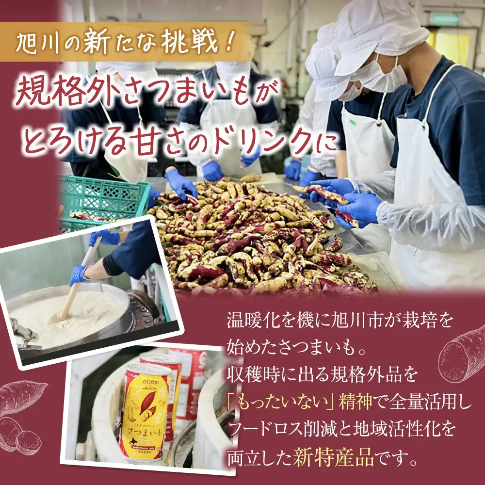 さつまいもラテ　15缶 【 ラテ ドリンク 飲み物 サツマイモ デザート 飲料 北海道 旭川市 】_04873