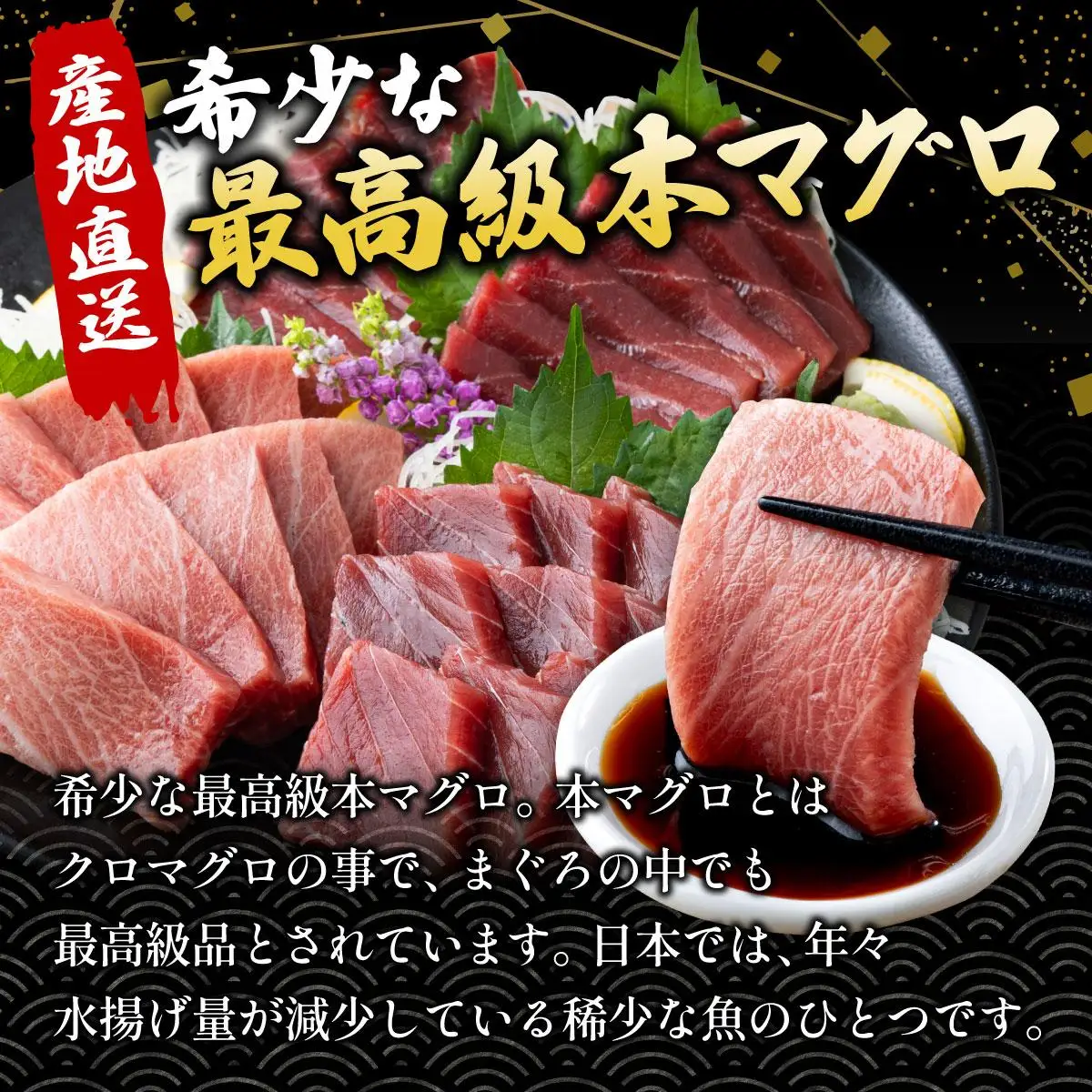 石垣島産 天然本マグロ 600g (まぐろ赤身・中トロ・大トロ) 
