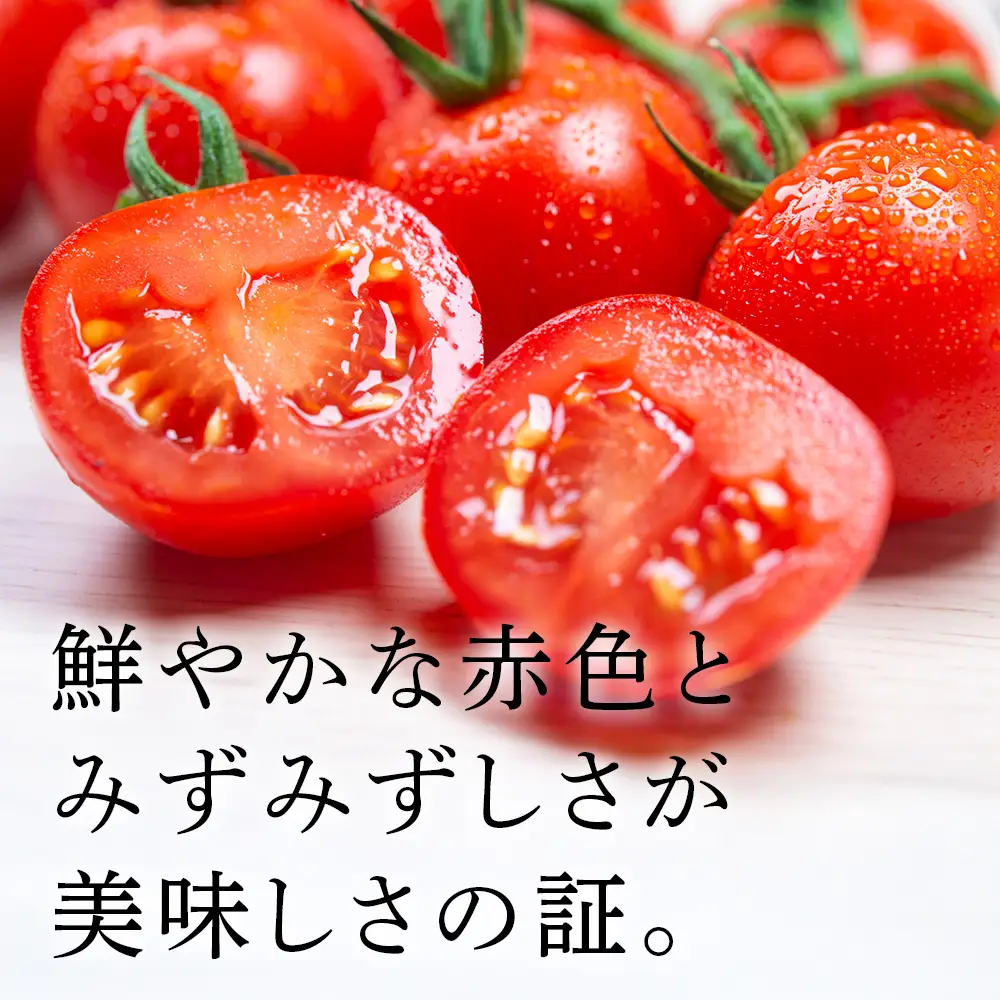 【2026年発送】〈萬福農研〉産地直送！ミニトマト(プレミアムルビー) 2kg