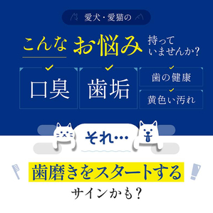 犬猫用 歯磨きジェル 30g ドクターアニマポート《獣医師 臭気判定士 W監修》 [2465]