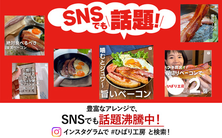 ひばり工房 業務用ベーコンブロック 約8kg（2kg×4袋）