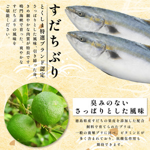 ぶり ラウンド すだちぶり 丸ごと1本 約3kg 冷蔵 徳島 養殖 
