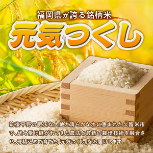 2025年新米 羽衣農園 元気つくし 白米 5kg _ 2025年 新米 福岡県産 精米 ブランド米 銘柄米 つやつや モチモチ 程よい粘り 冷めても美味しい ご飯 白ご飯 おにぎり 弁当 お米 食品 お取り寄せ 福岡県 久留米市 送料無料  〔Gr074〕