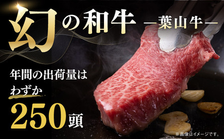 【全3回定期便】【葉山牛】300g　ローススライス ／ 牛肉 黒毛和牛 神奈川県 特産品【葉山牛ステーキレストラン 角車】[ASBD038]