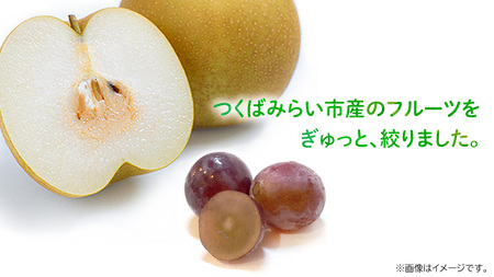 地元農家が作る つくばみらい市産 梨 を使った 梨ジュース・ぶどうジュース 720ml 2本セット