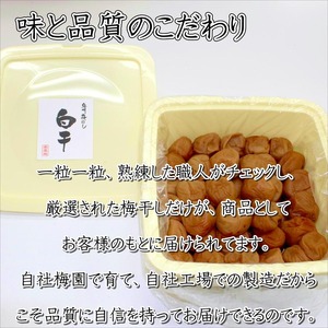 【1277】紀州南高梅　白干梅　850ｇ