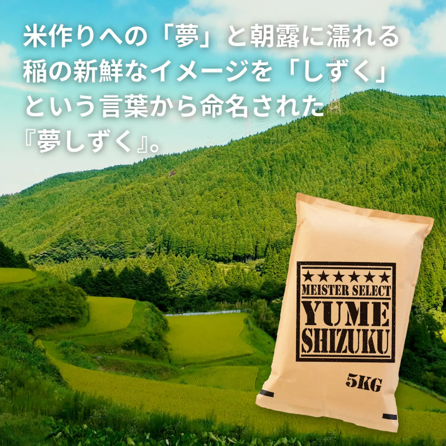 五つ星お米マイスターが厳選！令和7年産 佐賀県産 夢しずく 白米 10kg（5kg×2袋）おこめ 米 ：B320-016