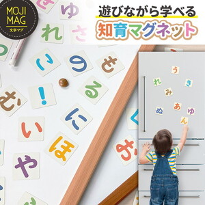 【ひらがなマグネットカード】 お風呂でも使える！ 文字マグ 五十音 あいうえお90ピース