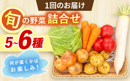 【全12回定期便】採れたてお野菜おまかせセット（5～6種）/ 野菜 やさい 野菜セット 野菜詰め合わせ 詰め合わせ セット / 大村市 / かとりストアー[ACAN128]