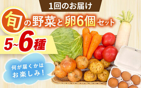 【全10回定期便】採れたてお野菜おまかせ（5～6種）・卵6個セット/ 野菜 やさい 野菜セット 野菜詰め合わせ 詰め合わせ セット たまご 卵 タマゴ 紅たまご こだまさんち / 大村市 / かとりストアー[ACAN131]
