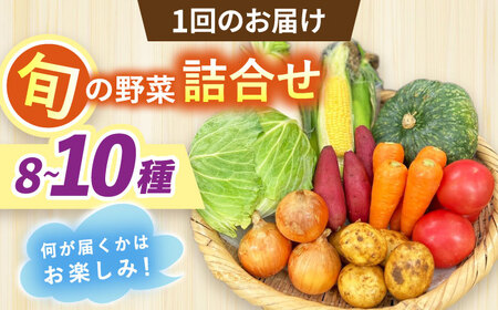 【全12回定期便】採れたてお野菜おまかせセット（8～10種）/ 野菜 やさい 野菜セット 野菜詰め合わせ 詰め合わせ セット / 大村市 / かとりストアー[ACAN135]
