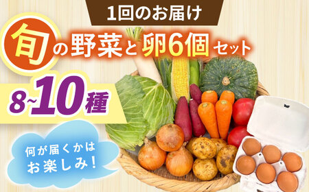 【全6回定期便】採れたてお野菜おまかせ（8～10種）・卵6個セット/ 野菜 やさい 野菜セット 野菜詰め合わせ 詰め合わせ セット たまご 卵 タマゴ 紅たまご こだまさんち / 大村市 / かとりストアー[ACAN137]