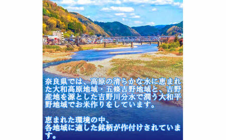 無洗米 奈良大和路のお米　コシヒカリ 20kg （5kg×4） ／ 奈良県産 全農パールライス 米 お米 白米 奈良県 田原本町