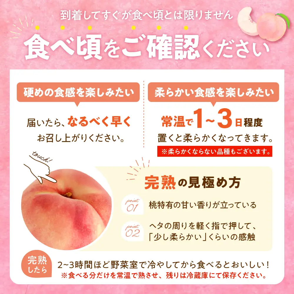 【2026年産】東根産 白桃 秀品 柔らかくなる桃 約5kg 白桃 桃