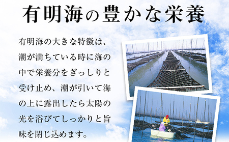 福岡有明のり 有明海産 焼き海苔 ボトル 4本（10切 100枚×4本 計400枚） 福岡有明のり 海苔 焼き海苔 取り寄せ ごはんのおとも 九州 ご当地グルメ 福岡土産