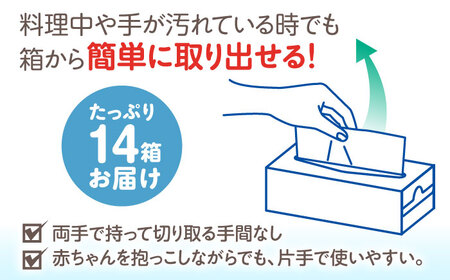 スコッティ キッチンタオルボックス 14箱 [BDBH003-2]