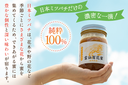 AJ445 はちみつ 国産 百花蜜 500g 1個 日本ミツバチ 純粋 100% [ 安中梅林を育てる会 蜂蜜 ハチミツ 非加熱 無添加 長崎県 島原市 ]