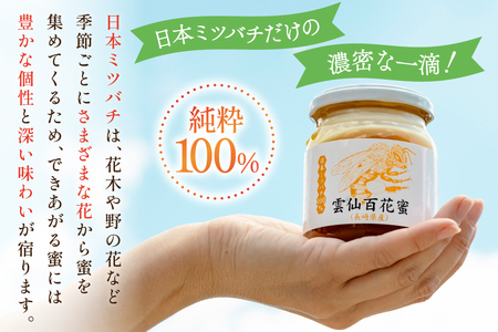 AJ443 はちみつ 国産 百花蜜 250g 1個 日本ミツバチ 純粋 100% [ 安中梅林を育てる会 蜂蜜 ハチミツ 非加熱 無添加 長崎県 島原市 ]