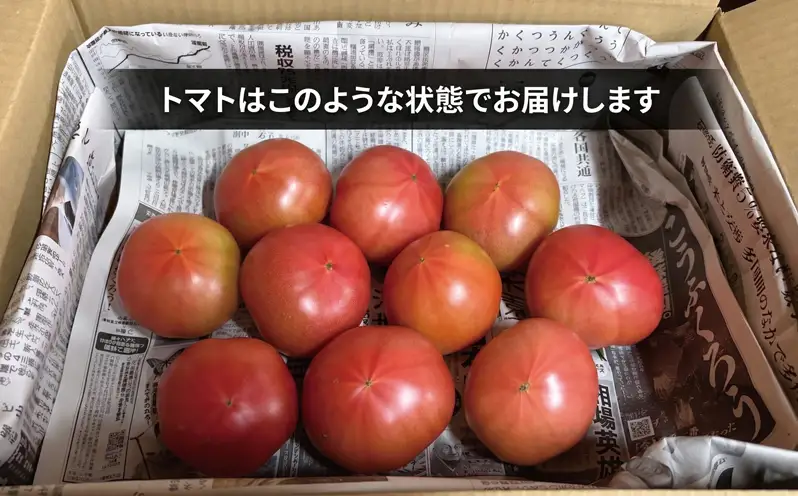 ハウス桃太郎トマト4kg トマト