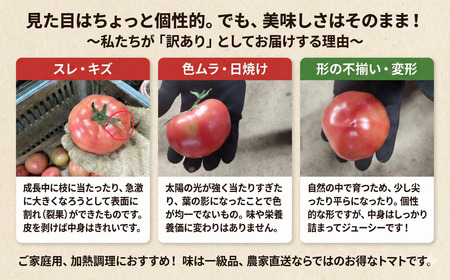 訳あり ハウス桃太郎トマト6kg  トマト TOMATO 野菜