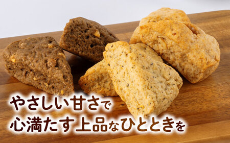【全6回定期便】山鹿の恵み香り豊かなスコーンセット（3種類×2個）【BANBA BON BONS】[ZDW007]