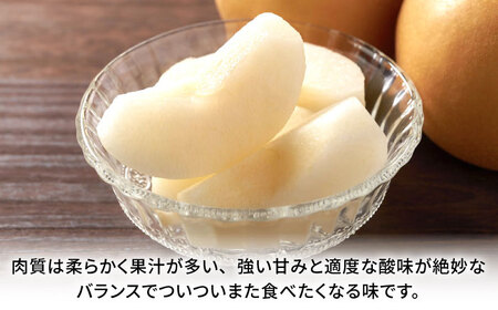 【先行予約】豊水梨　約1.8kg 梨 ナシ フルーツ 果物 【日本フルーツ株式会社】[ZFJ059]