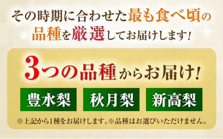 【先行予約】厳選おまかせ梨 約10kg 梨 豊水梨 秋月梨 新高梨 果物 フルーツ 【日本フルーツ株式会社】[ZFJ068]
