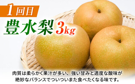【先行予約】【3回定期便】 梨 約3kg 計約9kg（豊水・秋月・新高）  梨 ナシ フルーツ 果物 【日本フルーツ株式会社】[ZFJ070]