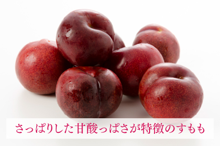 AB136.九州・福岡フルーツ王国より直送.すもも.約1.4kg／2026年6月配送