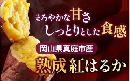 【訳あり】針山さんちのさつまいも 紅はるか 3kg / さつまいも 紅はるか 岡山県 野菜 【ybrf001-01】