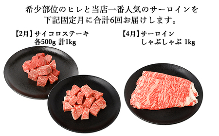 【年6回偶数月発送】伊賀牛 A5ヒレ・サーロイン 定期便A 総合計約6.1kg【dido-tkb0025】