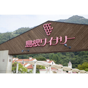 100%ぶどうジュース甲州4本セット