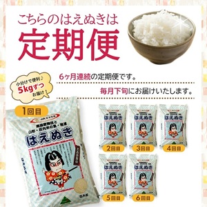 SH0067　【6回定期便】［精米］はえぬき　5kg×6回(計30kg) JS