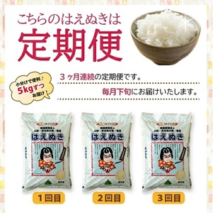 SE0583　【3回定期便】［精米］はえぬき　5kg×3回(計15kg) JS