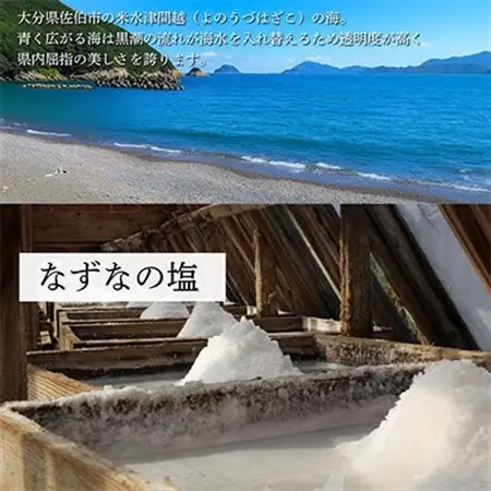 炭二郎の塩　家康【1693463】
