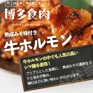 牛ホルモン熟成みそ味付き (計1kg:500g×2パック)牛ホルモン 熟成みそ おつまみ おかず 惣菜 弁当 バーベキュー 手作り 簡単調理 冷凍 下味付き＜離島配送不可＞【ksg1845】【博多食肉】