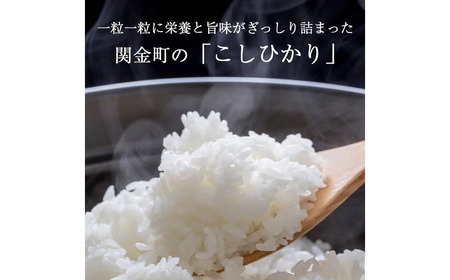 【在庫限定】令和7年産米 コシヒカリ 5kg （山崎農園）数量限定