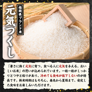 福岡県ブランド米 元気つくし (5kg) お米 米 コメ おこめ こめ げんきつくし 白米 ごはん ご飯 福岡県産 ブランド米 常温 常温保存 おにぎり おむすび お弁当 【農産物直売所ほたるの里】as52-001