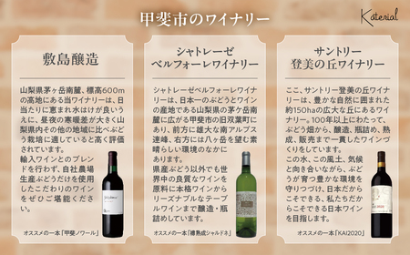 甲斐市産 おまかせワイン各月2本×6か月 計12本定期便 AD-319