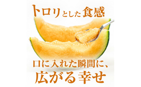 クインシーメロン（2玉入り1箱）計2.4kg以上