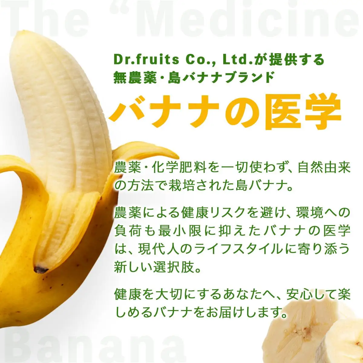 石垣島産 島バナナ 約1kg