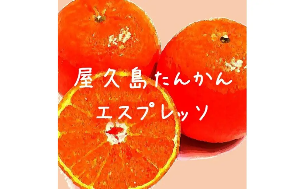 屋久島のたんかん香るエスプレッソコーヒー