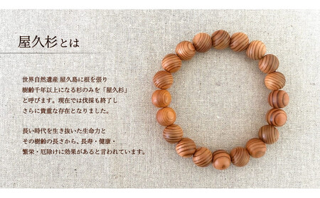 屋久杉10mm玉ブレスレット【18cm (M)】
