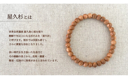 屋久杉6mm玉ブレスレット【18cm (M)】