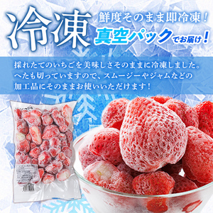 冷凍 あまおう (計1.6kg・800g×2袋) いちご イチゴ 苺 ストロベリー 果物 フルーツ おやつ デザート 冷凍 アマオウ 旬 小分け アイス シャーベット ジャム スムージー 冷凍フルーツ 真空パック 小分け 【農産物直売所ほたるの里】as52-013