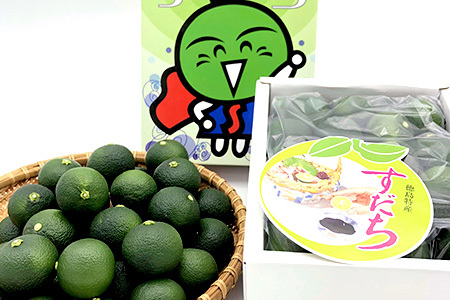 【先行受付】澄んだ空気と清らかな水で育った ハウスすだち 約2kg (2Lサイズ/1kg×2箱)「2026年6月より順次発送」【徳島県 那賀町 国産 すだち スダチ 酢橘 柑橘 果物 青果 特産品 果汁 薬味 酸味 お酒 料理 万能 調味料 産地直送】KF-1