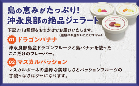 POWER GELATO（ 季節限定セット 12個入り ） C073-003-02 冷凍 菓子 お菓子 スイーツ
