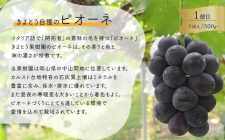 1房お試し定期便! ピオーネ・シャインマスカット・紫苑の3回便(定期便)(岡山県産) 【2026年先行予約】 【KF-T057-01】