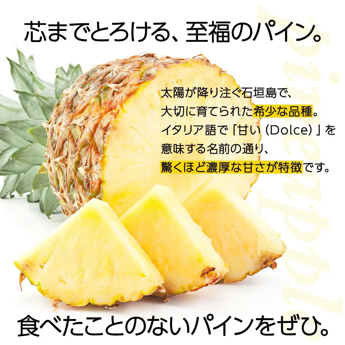 ＜先行予約＞ 石垣島産パイナップル サンドルチェ 3玉 (約3kg) 