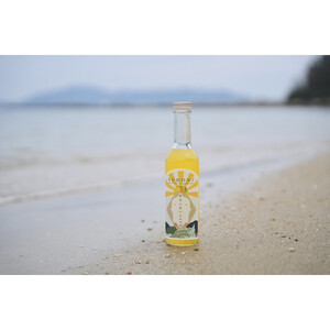 柑橘すだいだいセット3（シロップ2本＆マーマレードジャム2個）　大津島　無添加